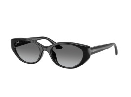 Okulary przeciwsłoneczne Ray-Ban  RB 4457D 667711 55