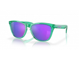 Okulary przeciwsłoneczne OAKLEY FROGSKINS OO9013 J8 55