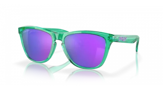 Okulary przeciwsłoneczne OAKLEY FROGSKINS OO9013 J8 55